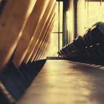 Guy Halvorson Profile Picture