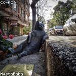 Sam Hoppe Profile Picture