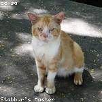 Kayden Feest Profile Picture