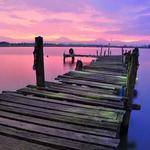 Priscilla Lemke Profile Picture