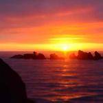 Elmira Greenfelder Profile Picture