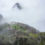 Haley Schoen Profile Picture