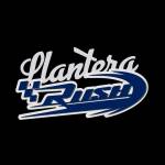 Llantera Rush Profile Picture