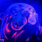 Bere Can Profile Picture