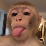 YiyiGuillot profile picture